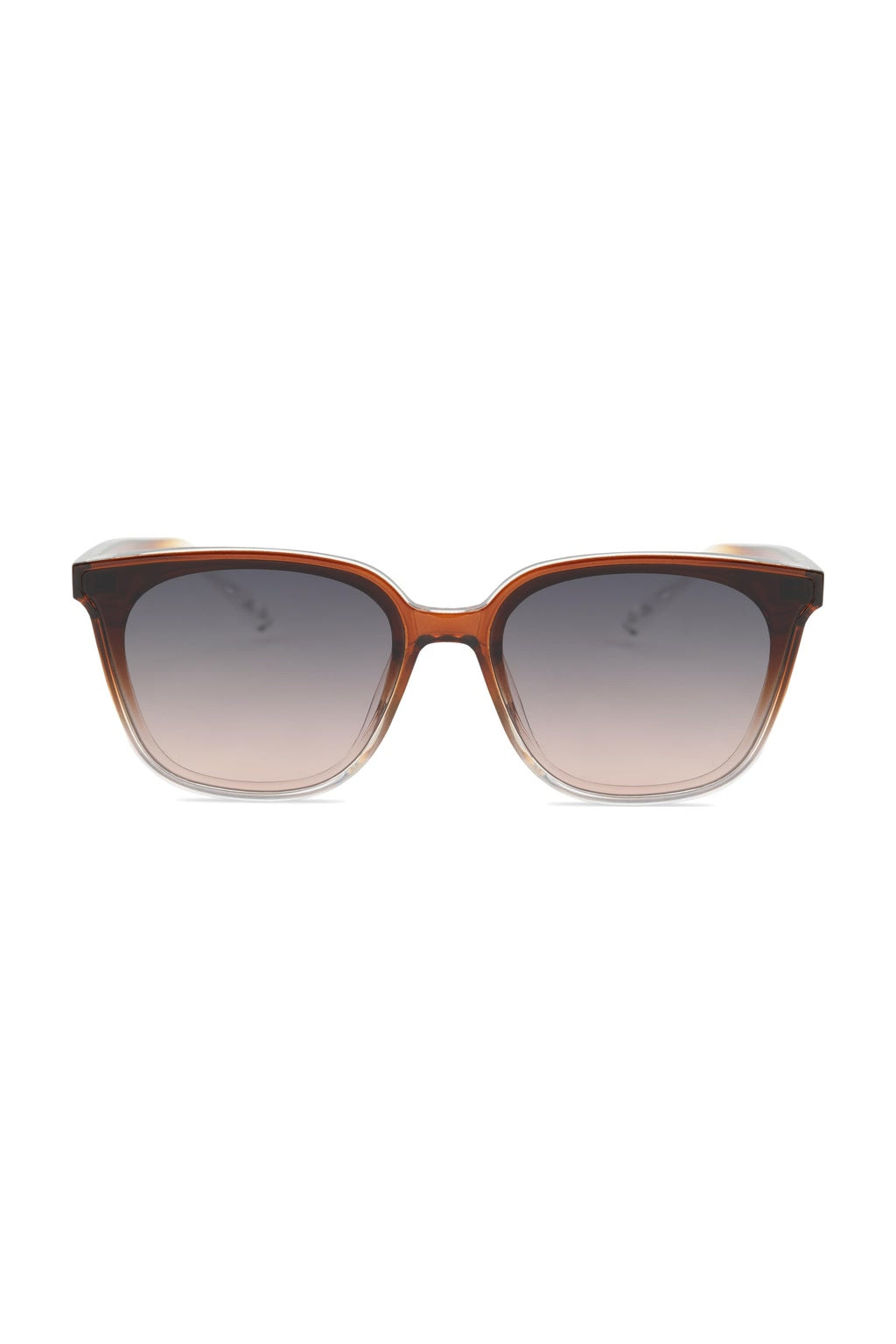 CHIC sunglasses - Brown
